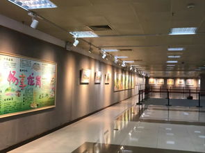 童心绘龙岗，光影铸新景——记少儿绘画艺术展暨影视美术置景展